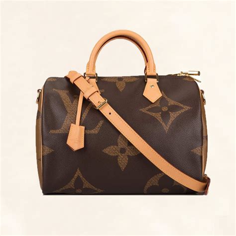 louis vuitton speedy chiave prezzo|louis Vuitton Speedy bandouiller 30.